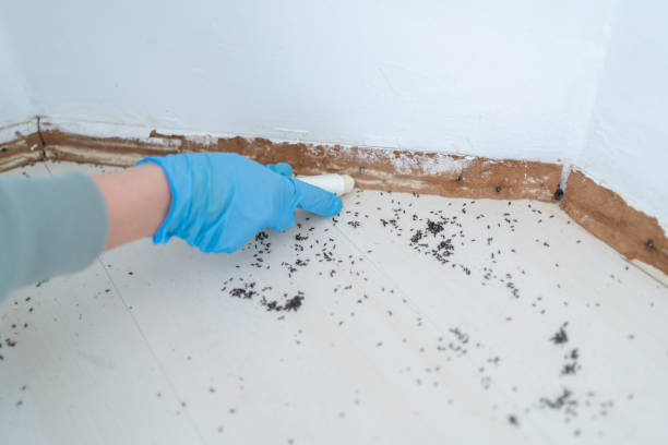 Best Affordable Pest Control Services  in Exton, PA
